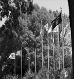 Cemetery Flags, Flags at Cemetery